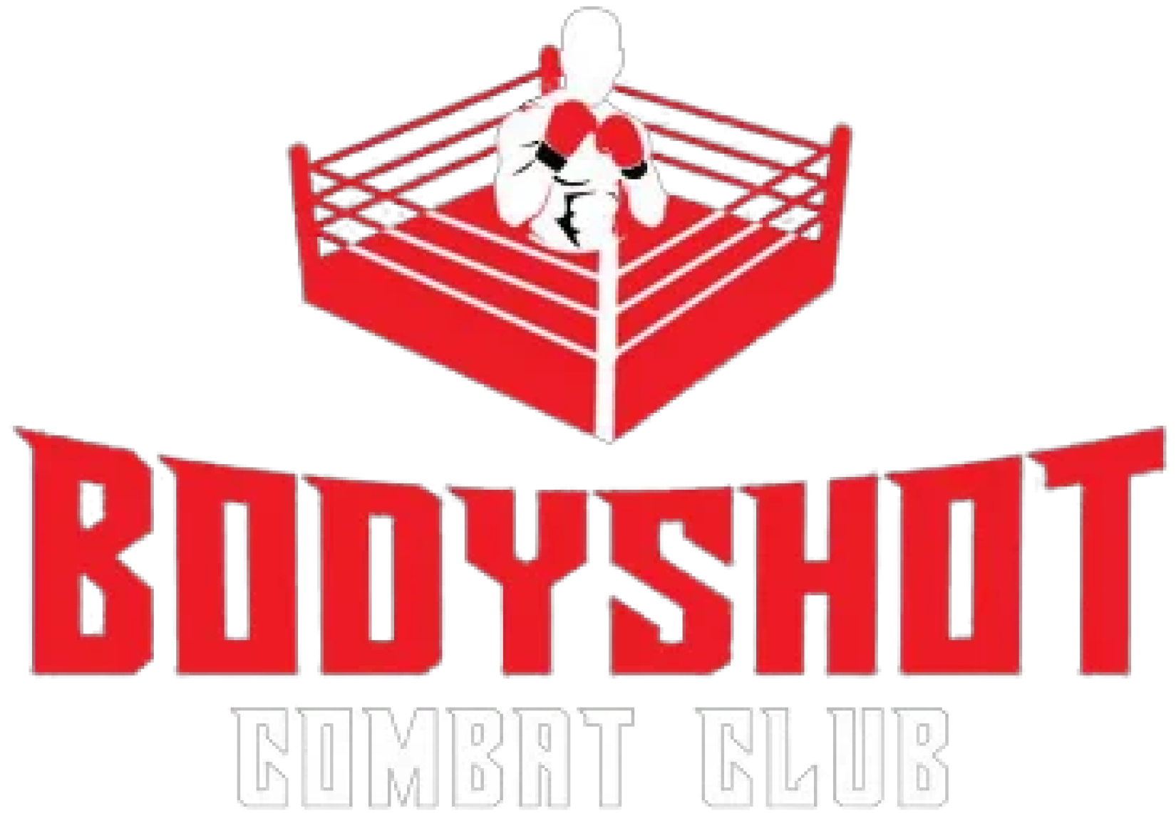 BodyShot Combat & Fitness logo